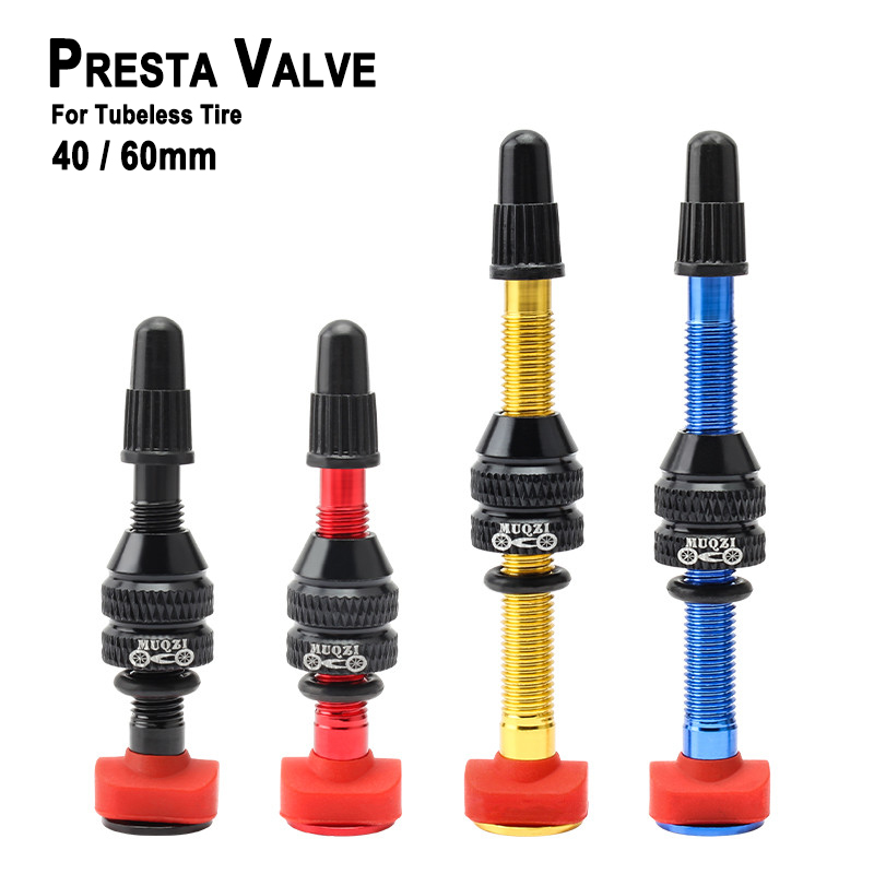 MTB Mountain Bike Presta Valve - Mountain Biking In French review and price