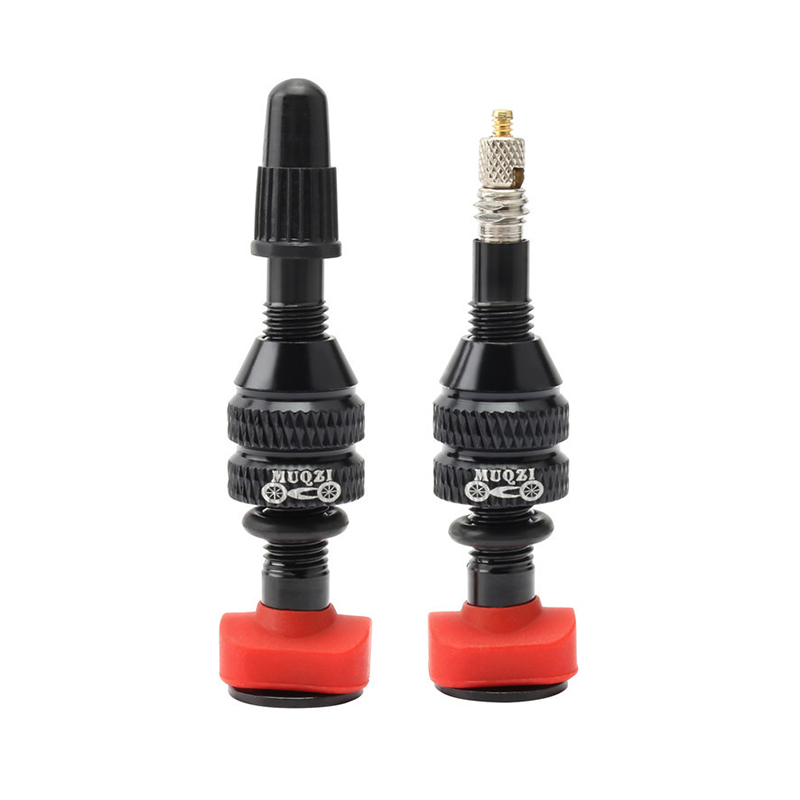 MTB Mountain Bike Presta Valve - Mountain Biking In French review and price