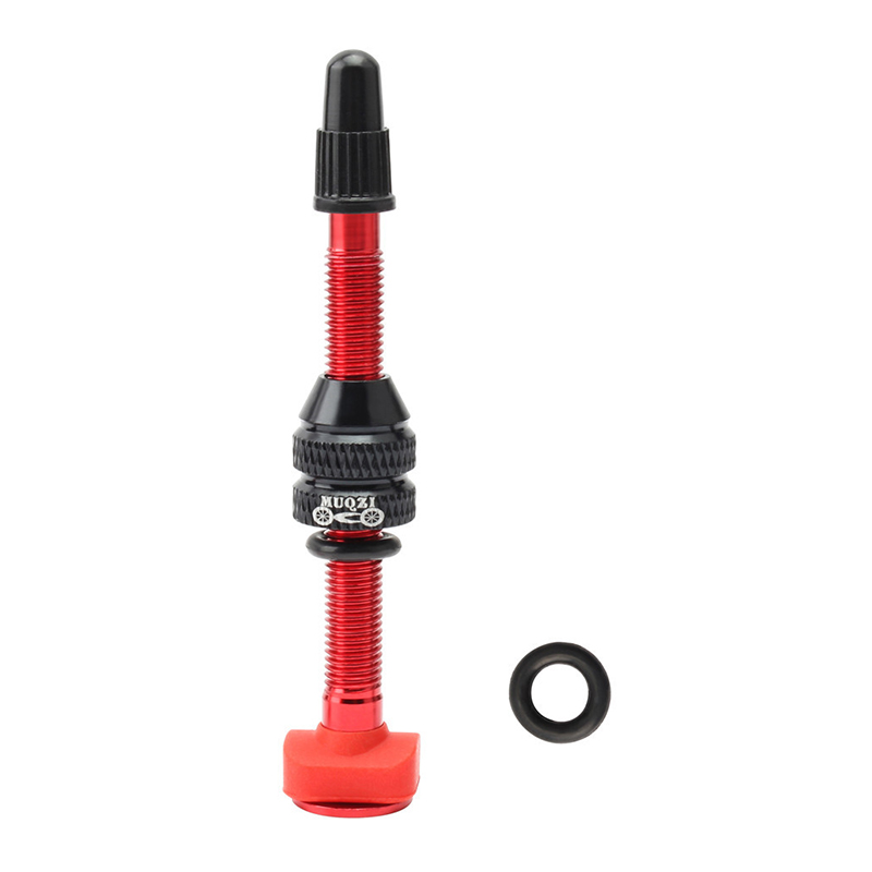 MTB Mountain Bike Presta Valve - Mountain Biking In French review and price