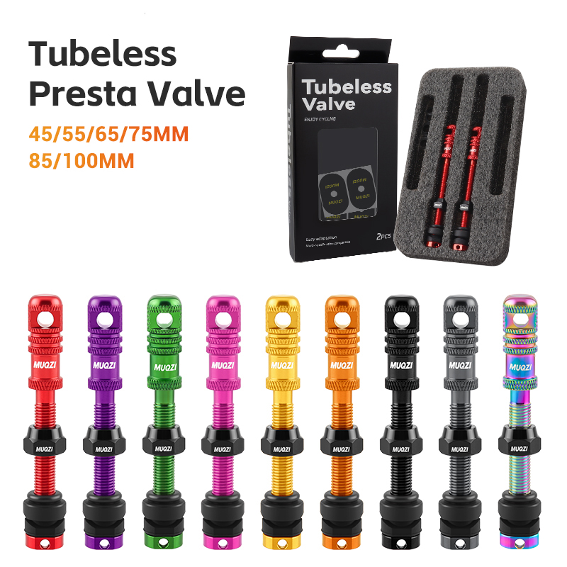 Alloy Bike Tubeless Presta Val - Mountain Biking In French review and price