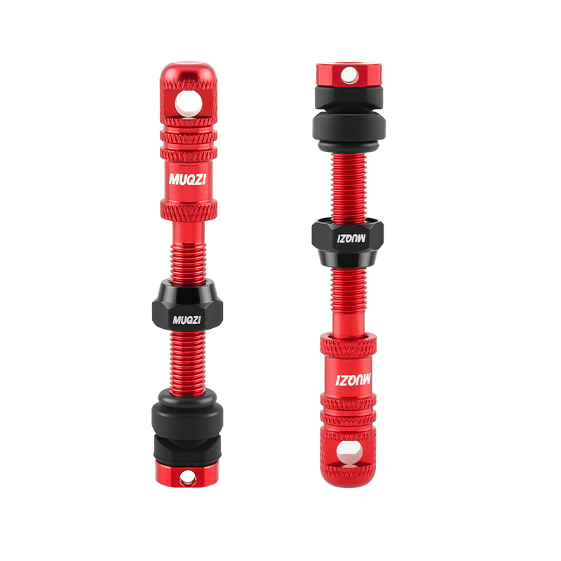 Alloy Bike Tubeless Presta Val - Mountain Biking In French review and price